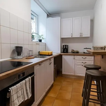 Апартаменты Radu's - Traditional Ultracentral In The Old Town