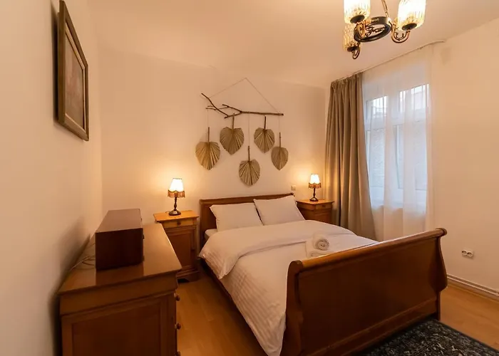 Apartment Radu's - Traditional Ultracentral In The Old Town