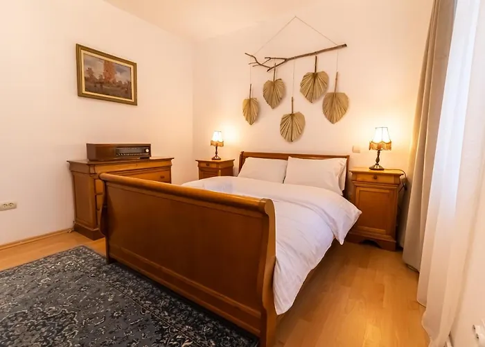 Apartment Radu's - Traditional Ultracentral In The Old Town *