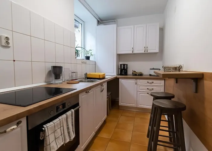 Appartamento Radu's - Traditional Ultracentral In The Old Town