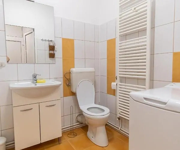 Apartment Radu's - Traditional Ultracentral In The Old Town *